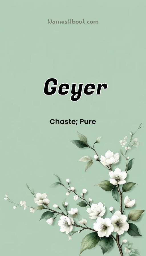 Meaning of Geyer