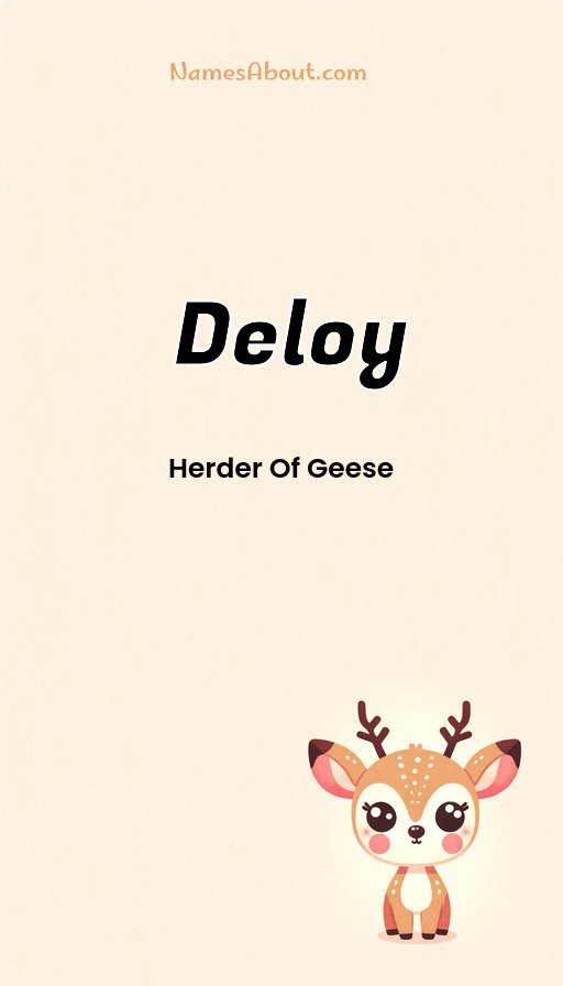 Meaning of Deloy