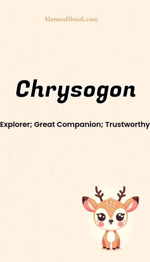 Chrysogon name and meaning