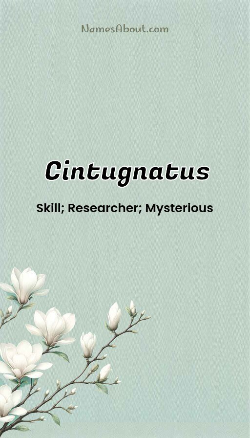 Meaning of Cintugnatus