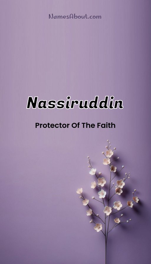 Meaning of Nassiruddin 