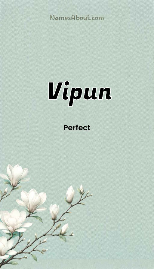 Meaning of Vipun