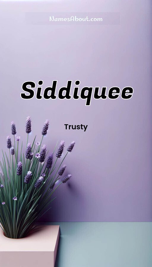 Meaning of Siddiquee