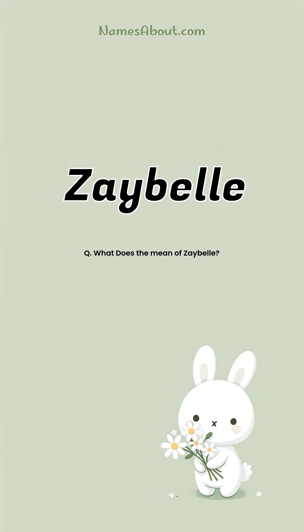 Zaybelle name and meaning