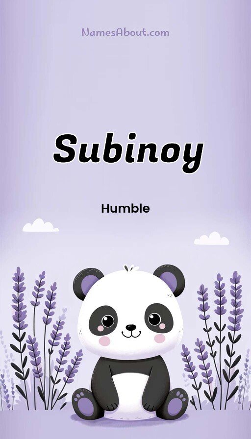 Meaning of Subinoy