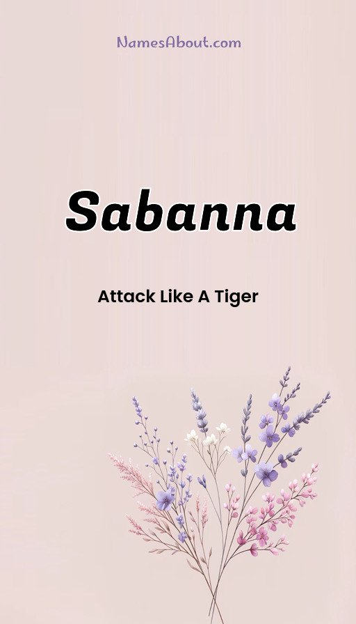 Meaning of Sabanna