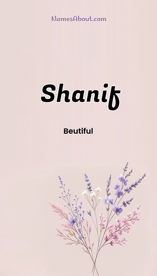 Meaning of Shanif