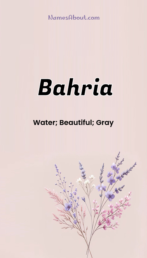 Meaning of Bahria