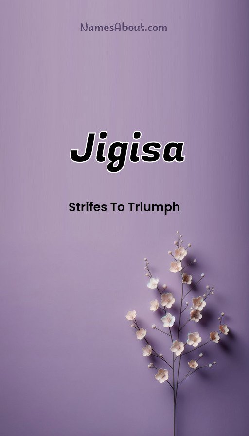 Meaning of Jigisa
