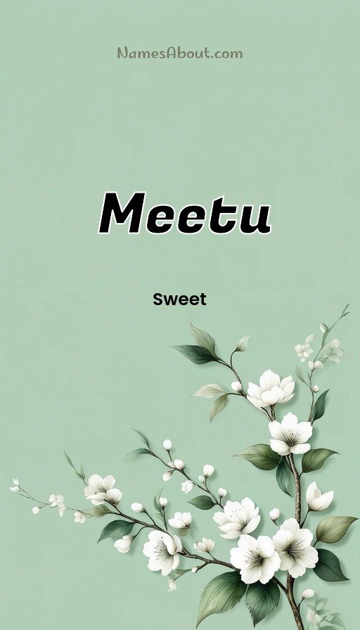 Meaning of Meetu