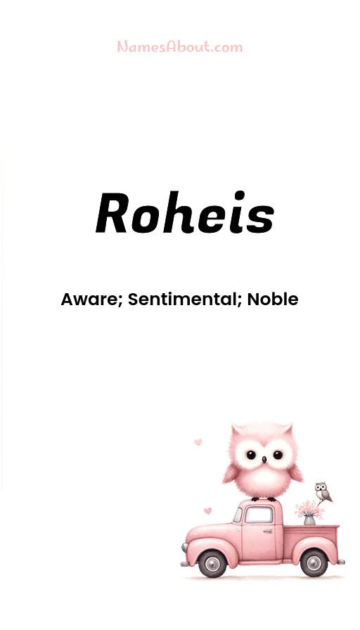 Roheis name and meaning