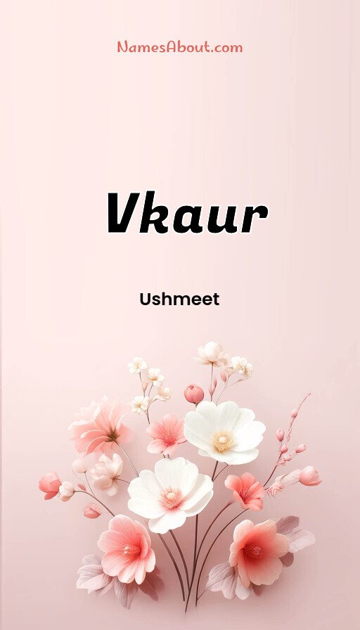 Meaning of Vkaur