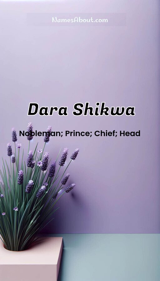 Meaning of Dara Shikwa