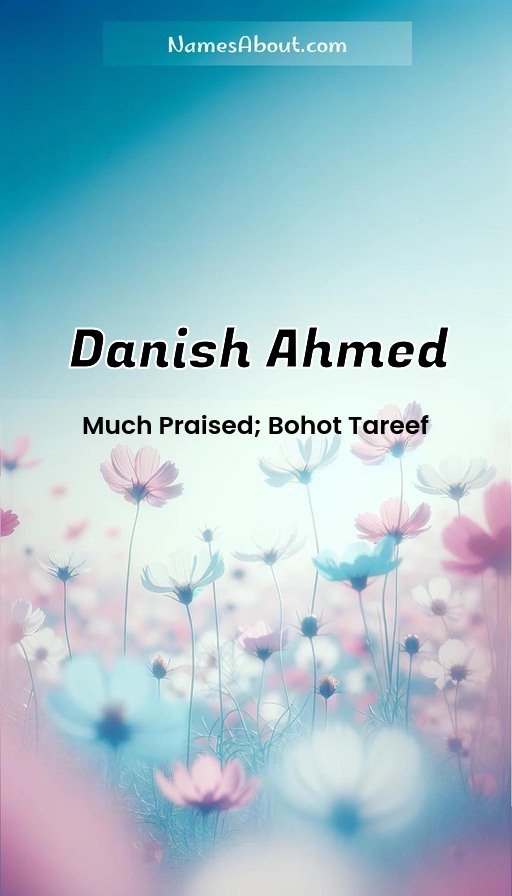 Meaning of Danish Ahmed