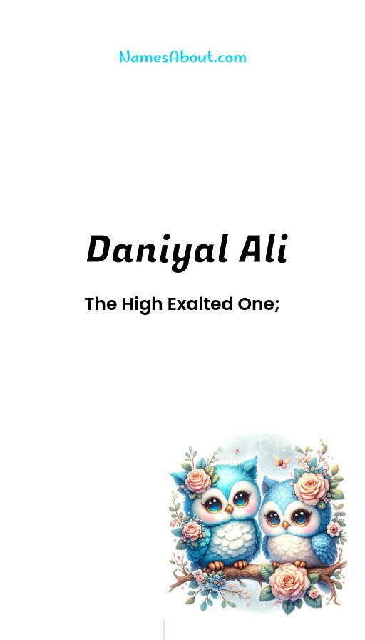 Meaning of Daniyal Ali