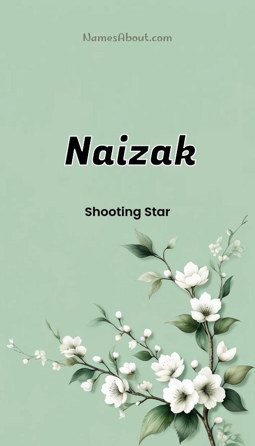 Naizak name and meaning