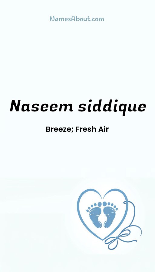 Meaning of Naseem siddique