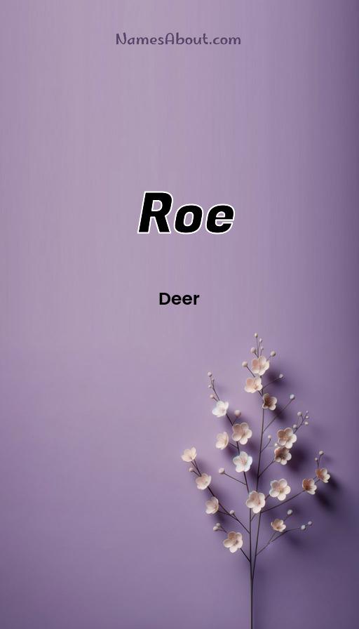 Roe name and meaning