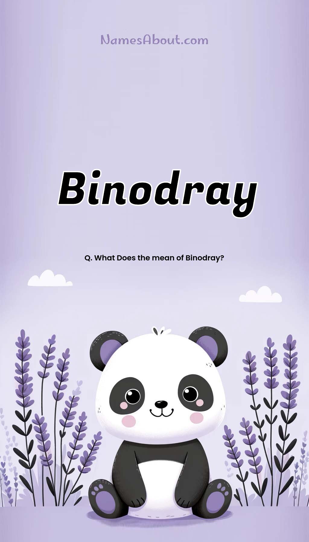 Binodray name and meaning