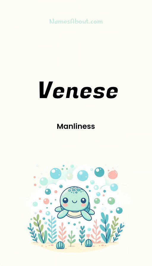 Meaning of Venese