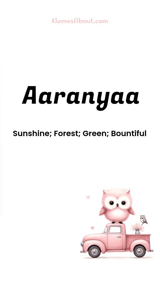 Meaning of Aaranyaa