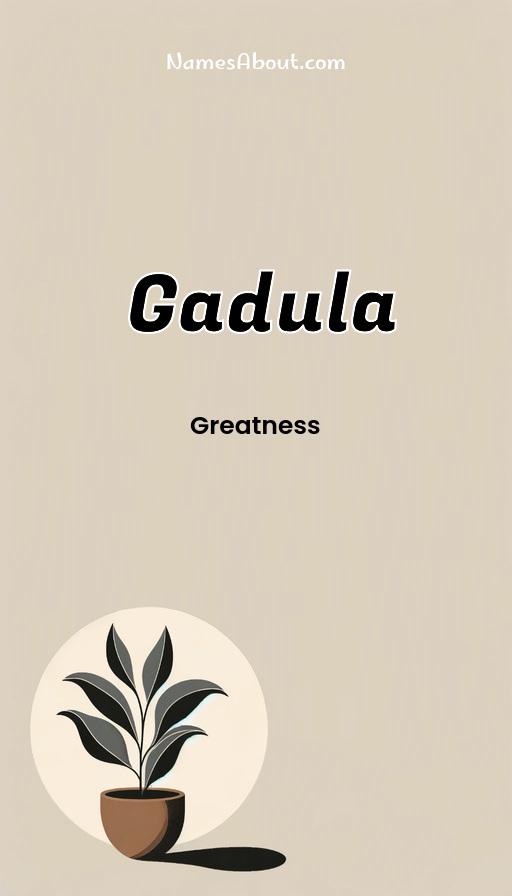 Illustration of Gadula