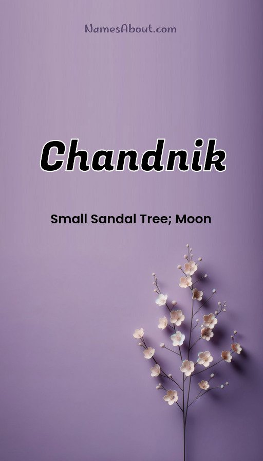 Meaning of Chandnik