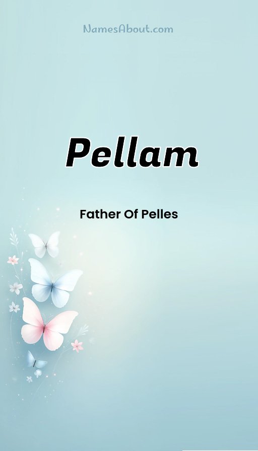Meaning of Pellam