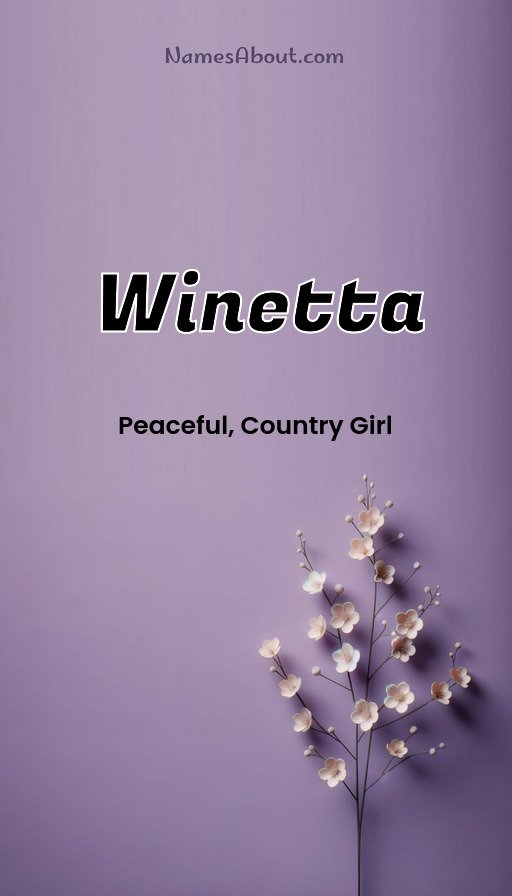 Meaning of Winetta