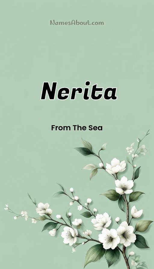 Meaning of Nerita