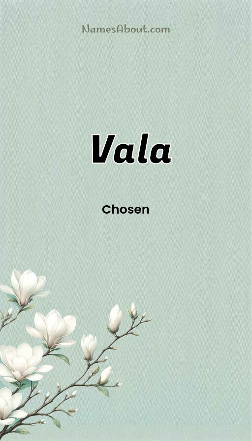 Meaning of Vala