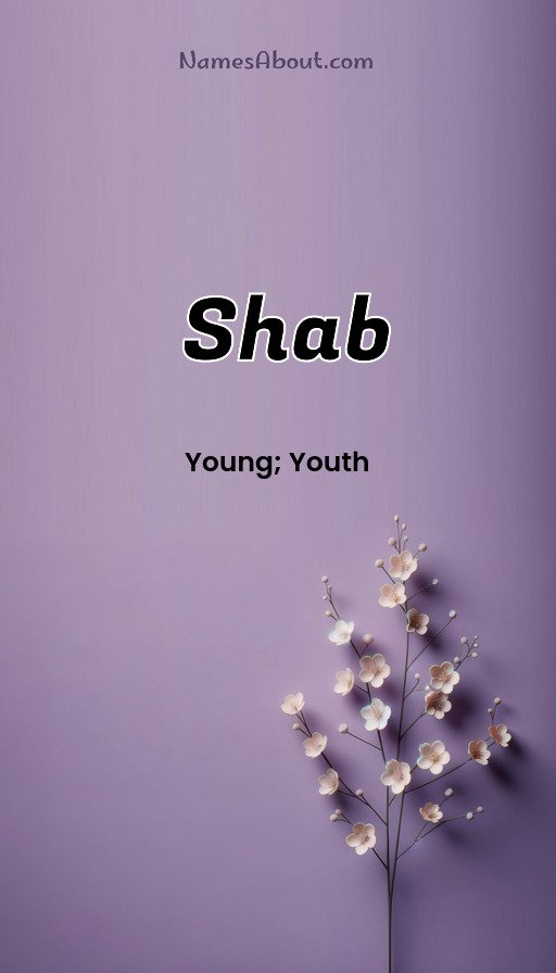 Meaning of Shab