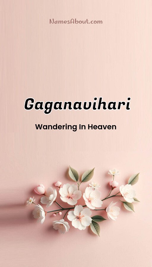 Meaning of Gaganavihari