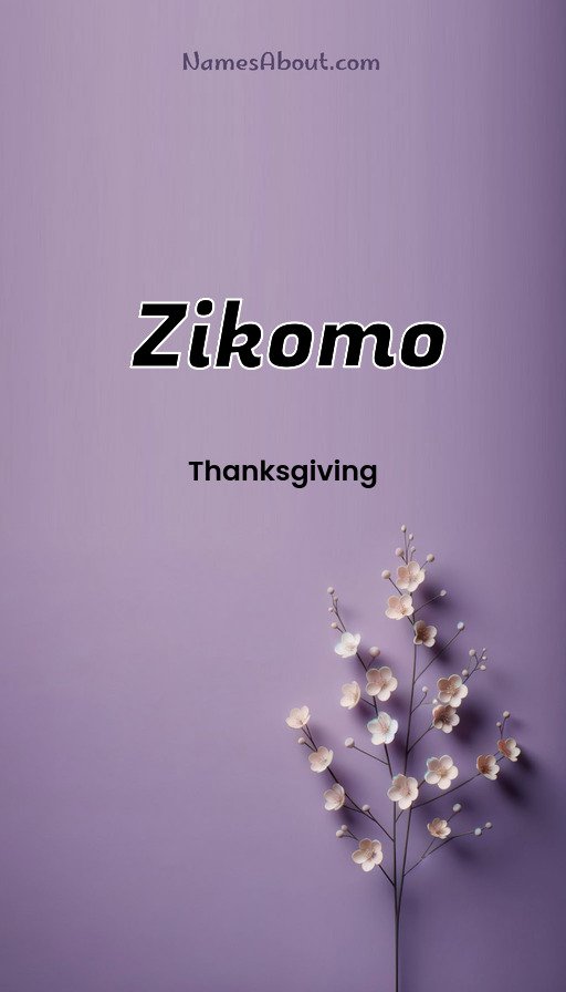 Meaning of Zikomo