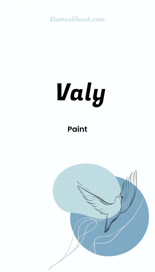 Meaning of Valy
