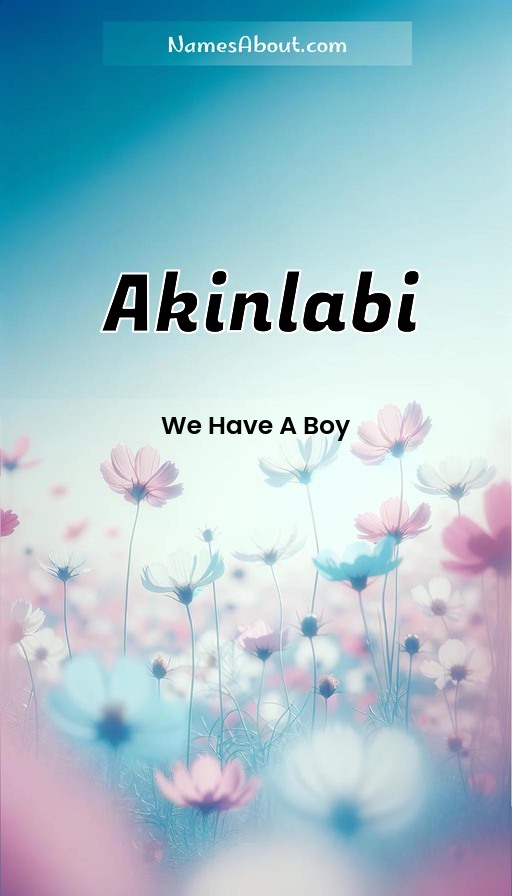 Meaning of Akinlabi