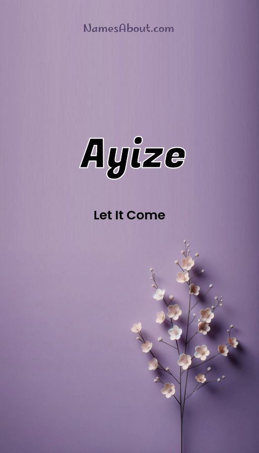 Meaning of Ayize