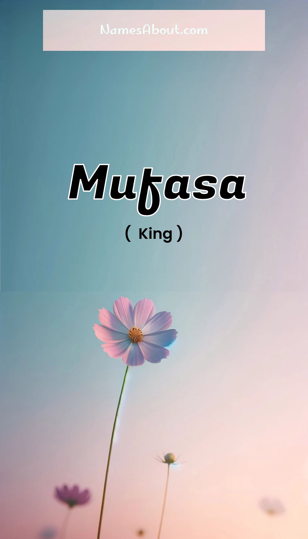 Mufasa name and meaning