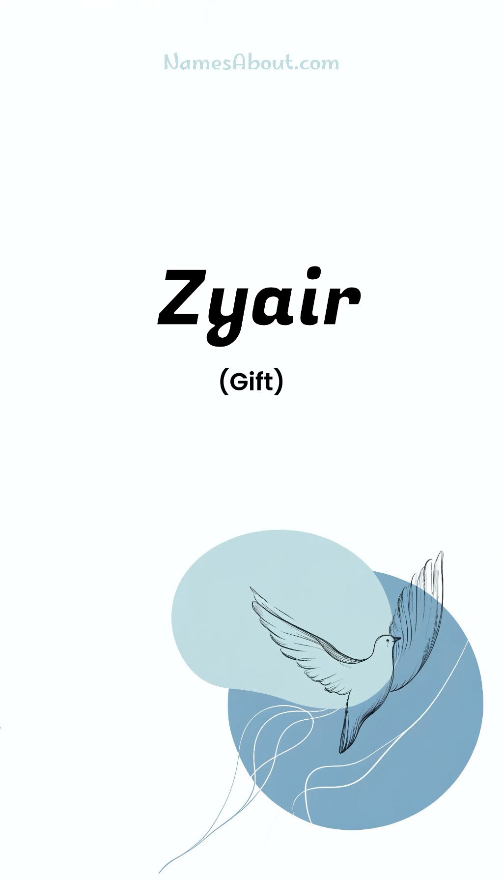 Zyair name and meaning