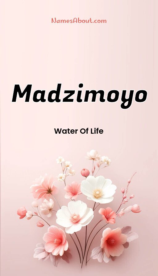 Meaning of Madzimoyo