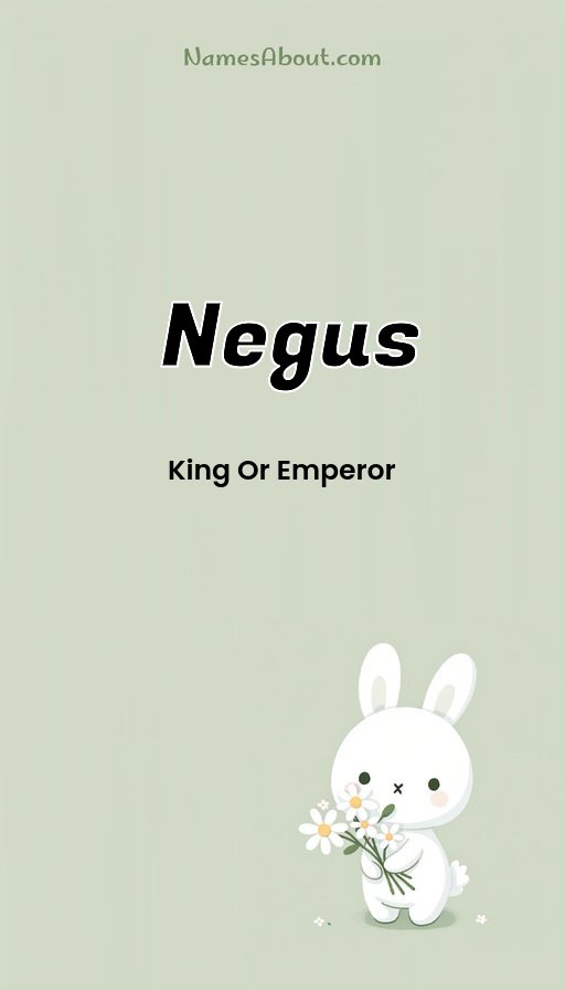 Meaning of Negus