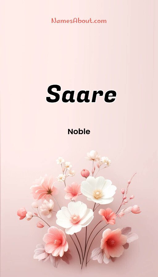 Meaning of Saare