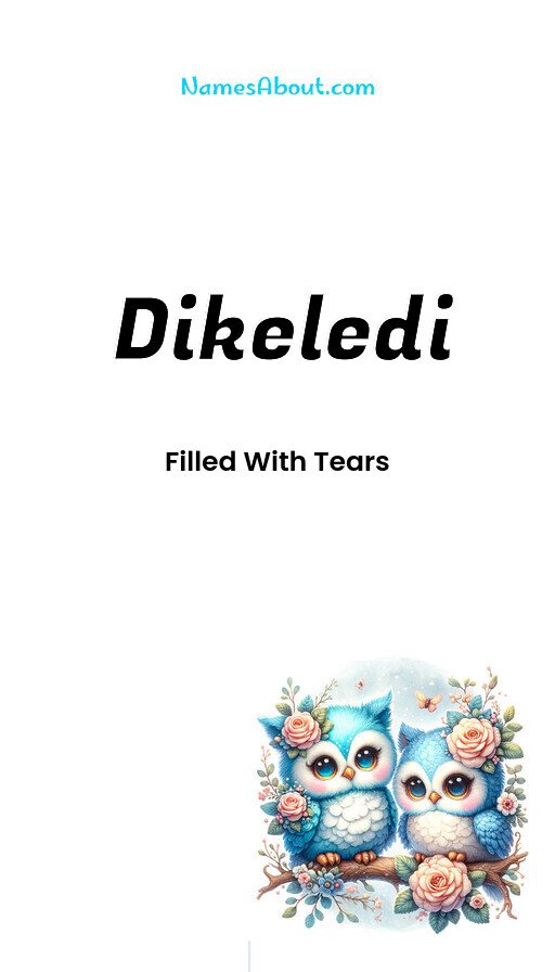 Meaning of Dikeledi