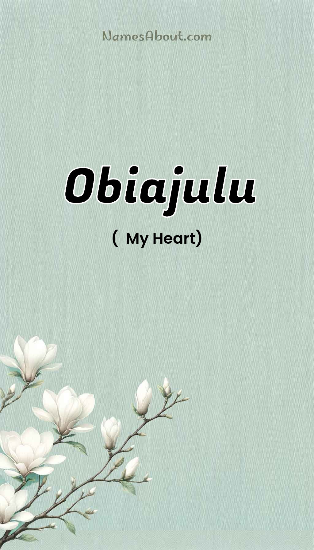 Obiajulu name and meaning