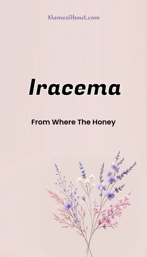 Meaning of Iracema