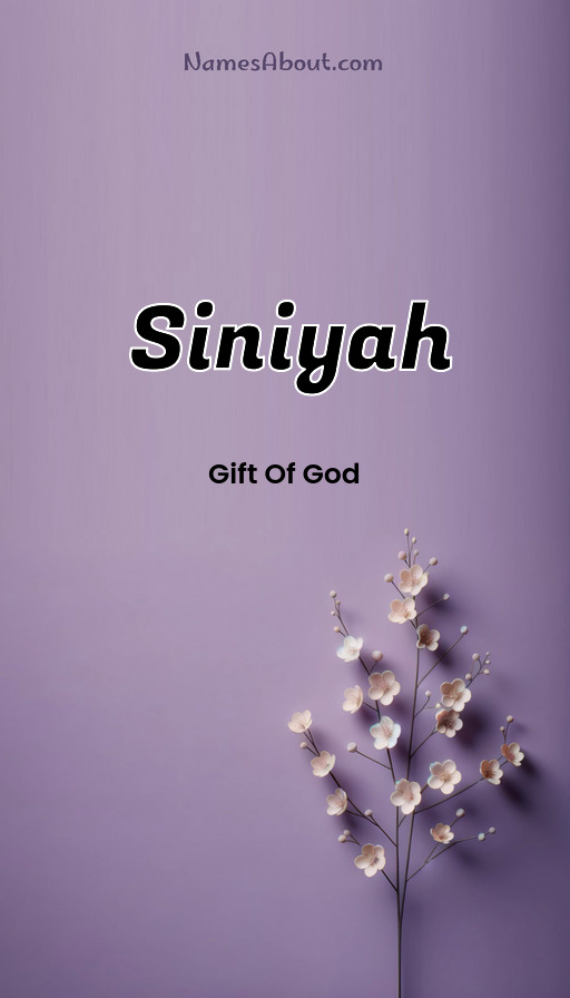 Meaning of Siniyah