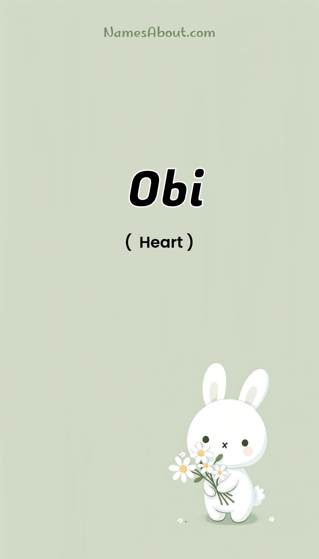 Obi name and meaning