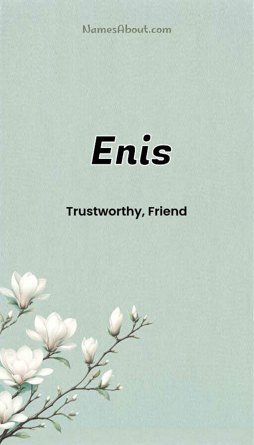 Meaning of Enis