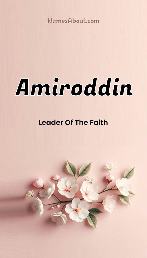 Meaning of Amiroddin