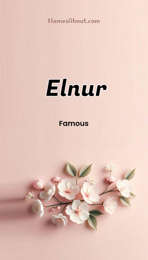 Illustration of Elnur